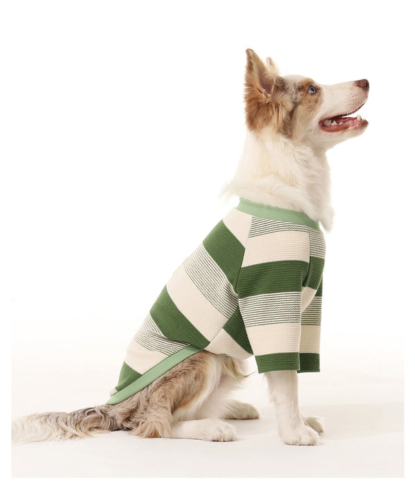 Striped T-shirt for Dogs