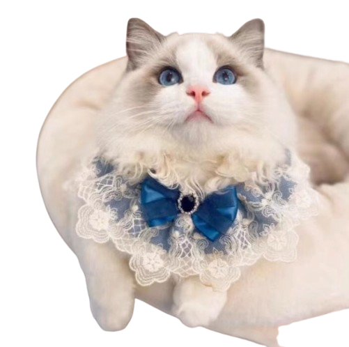 Handmade Princess-style Cat Bib